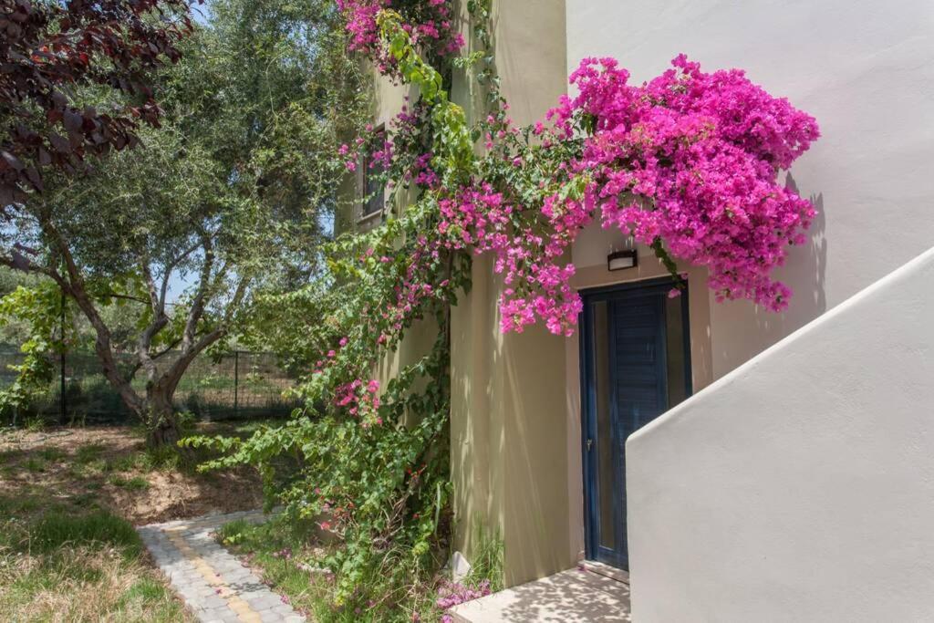 Villa Manolis Chania  Eksteriør billede